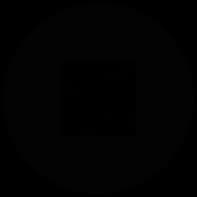PTCD020P