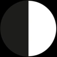 PT00000500P